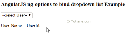 Angularjs bind dropdown list using ng-options directive example result or output