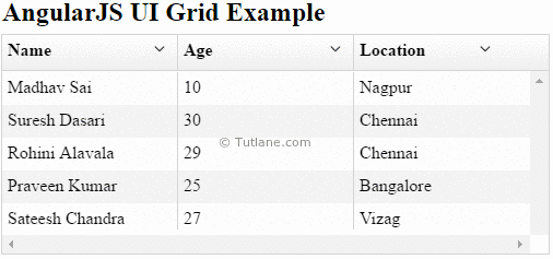 Angularjs ui grid example result or output