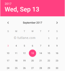 Android DatePicker in Calendar Mode Example