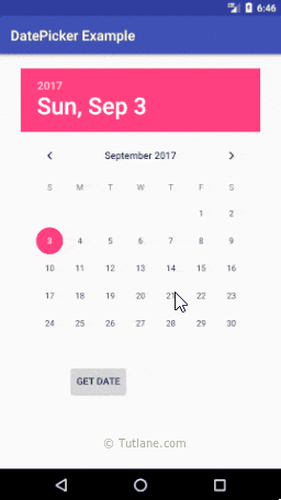 Android DatePicker Dialog Example Result