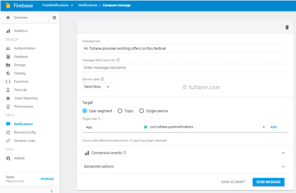 Android Push Notifications from Firebase Console to Particular App