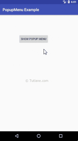 Android Popup Menu Example Result