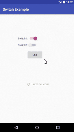 Android Switch Control Example Result