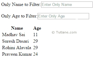Angularjs filter records based on specific columns example result or output