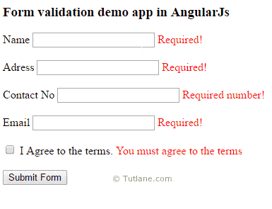 AngularJS Form Validation with Input Controls Example Output or Result