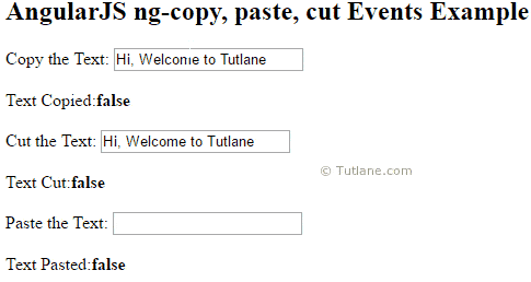 Angularjs ng-copy, ng-paste, ng-cut events example result or output