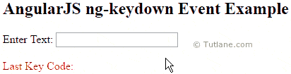 Angularjs ng-keydown event example result or output