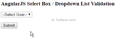 AngularJS Select Box / Dropdown List Validation Example Output or Result