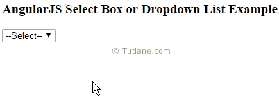 Angularjs select box / dropdown list example output or result