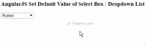 AngularJS Select Box / Dropdown List with Default Value Example Output or Result