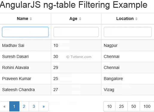 Angularjs filter table data using ng-table module example result