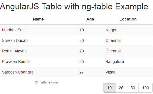 AngularJS Tables with ng-table Module Example Result
