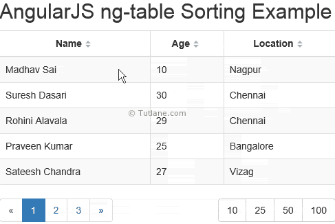 AngularJS Sort Table Columns using ng-table Module Example Result