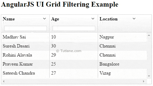 Angularjs ui grid filtering example result or output