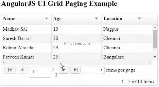 Angularjs ui grid paging example result or output
