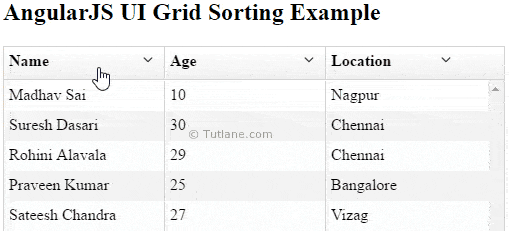Angularjs ui grid sorting example result or output