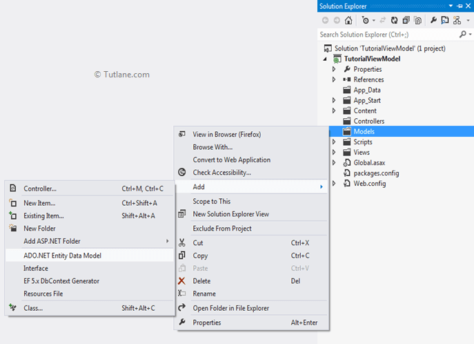 Add ado.net entity data model in asp.net mvc application