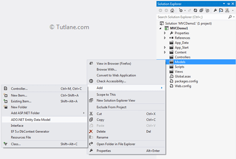 Add ado.net entity data model in asp.net mvc application