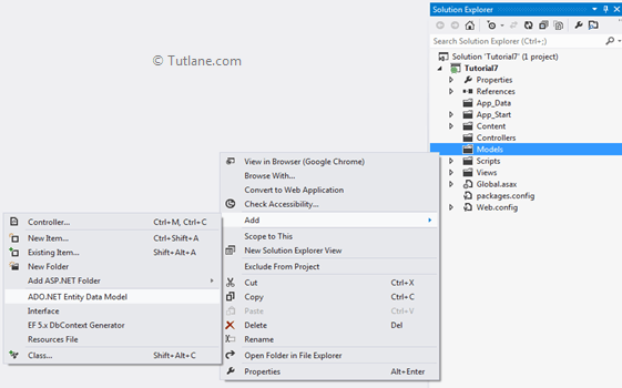 Adding ado.net entity data model in asp.net mvc applciation