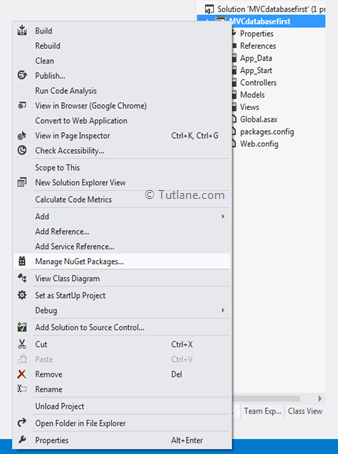 Installing Entity Framework in Asp.net mvc application