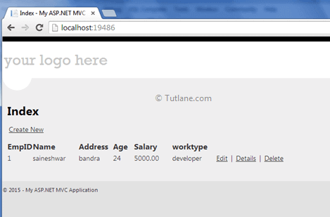 Showing employee details using database first approach in asp.net mvc application