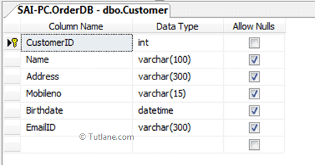 Customer Table in Database in sql server