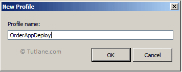 Entered Profile Name as OrderAppDeploy to Publish Application