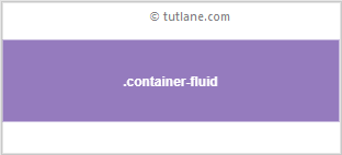 Bootstrap Container-Fluid Class Example Result
