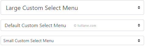 Bootstrap custom select menu sizing example result