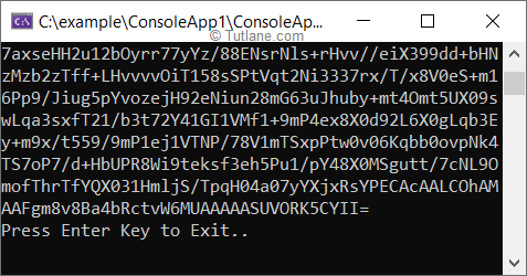 C# Convert Image File to Base64 String Example Result