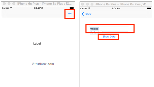 iOS Delegates Application Example Output or Result