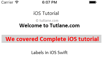 iOS UI Control Labels Sample Format