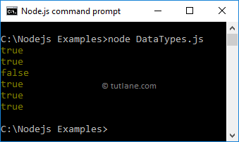 Node.js Boolean Data Types Example Result