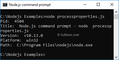 Node.js process properties example result