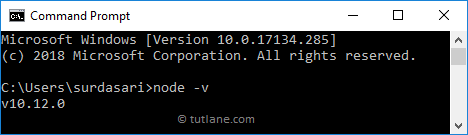 Verify Node.js Installation on Windows Machine