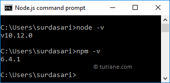 Node.js Get Version Information Command Example Result
