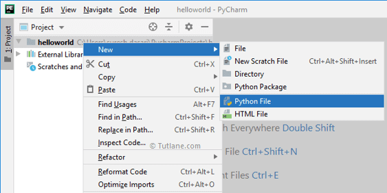 Pycharm editor create python application