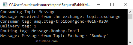 C# Consume Messages from RabbitMQ using Topic Exchange Example Result