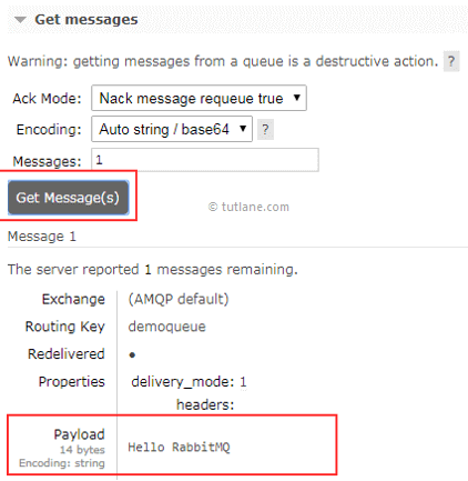 RabbitMQ Message Details After Reading from Queue
