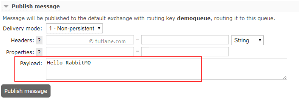 RabbitMQ Enter Details to Publish Message in Queue