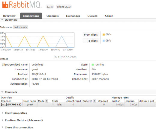 RabbitMQ Connections Overview Dashboard