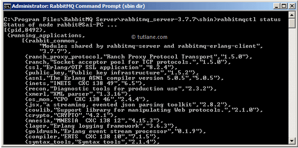 Successfully Starting RabbitMQ Server