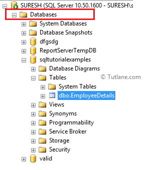 SQL Server Newly Created Table in Database using SQL Management Studio Output