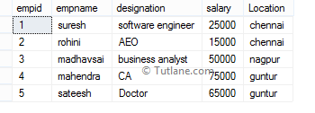 Newly created employeedetails table in sql server