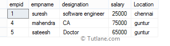 SQL IN Operator with SubQuery Example Result or Output