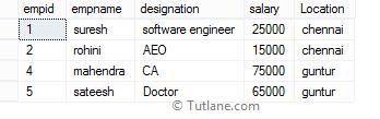 SQL IN Operator Example Result or Output