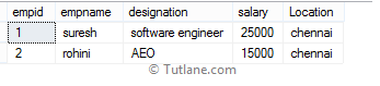 SQL Like Operator Example Result or Output