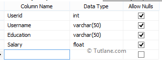 SQL Server Table Columns with Different Data Types